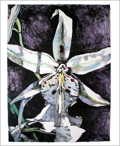 Hyatt Orchid color.jpg