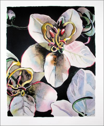 shower flower litho
